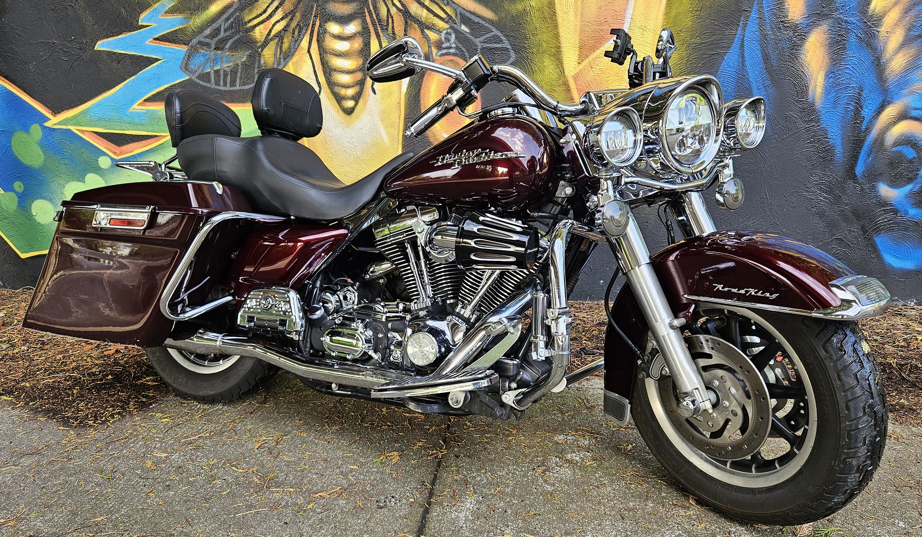 Freedom Motorcycle Rentals